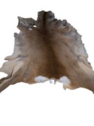 skóra z sarny zimowa suknia 