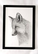 Obraz Lis, rysowany ołówkiem, format A3