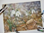 Akwarela natura wiosna przebiśniegi obrazy 