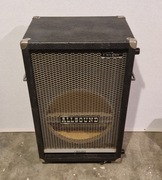 Duża skrzynia basowa - estradowa AlLLSOUND BS150