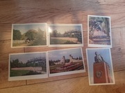 stare pocztówki lwów i inne zestaw 6 sztuk