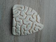 Jelito cienkie kostek szkielet ciało człowieka National Geographic