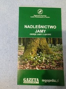 Nadleśnictwo Jamy mapa 