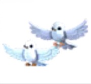 Turtle Doves - Adopt Me Roblox