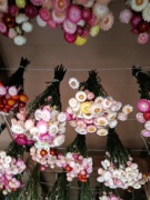 Bukiet kwiatów kocanki 