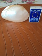 Muszla ostrygi z masy perłowej