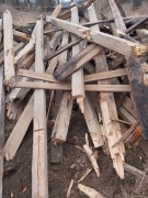 Drzewo drewno opałowe