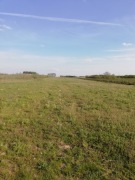 Działka rolna, Miedzechów koło Grójca, 20000 m²