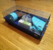 Klatka dla chomika duża