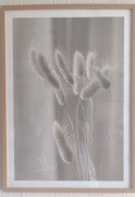 Zestaw 3 plakatów Boho 50x70 cm