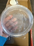 Podświetlany witraż na okno (choinka)