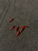 LEGO Róg Ząb Horn Tooth czerwony 4568388 6270107 4276053 53451 - 2szt