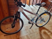 rower dziecięcy 13 cali koła 24 author