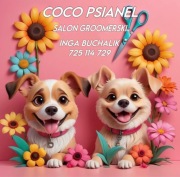Zapraszam pieski male i średnie do fryzjera (Groomer)