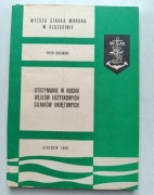 Utrzymanie w ruchu węzłów łożyskowych silników okresowych - Bielawski