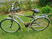 Rower Męski Trekkingowy 