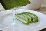 Liść aloesu ALOE VERA - świeży BIO