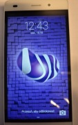 Smartfon - HUAWEI P8 Lite ALE-L-21