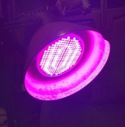 Żarówka do uprawy roślin 300 LED