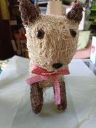 Osłonka kotek, dwa rodzaje