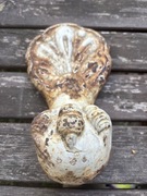 Stara zeliwna noga od wanny