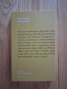 W.G. Sebald.  Campo Santo