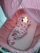 Kosz Mojżesza na rolkach