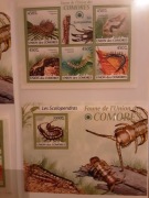 Komory 2009 Mi 2328-32 + bl 510 skolopendra   zestaw idealny