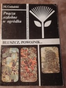 Pnacza ozdobne w ogródku - BLUSZCZ, POWOJNIK ...