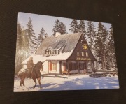 Szczawno Zdrój szczawno jako osada pocztówka karta pocztowa nr 275
