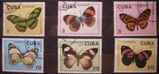 Fauna zwierzęta motyle Kuba Cuba