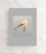 retro plakat z ptaszkiem, vintage obrazek z kanarkiem, kanarek plakat A4