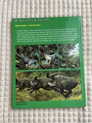 Książka Tajemnice zwierząt. W borach i lasach – Wydawnictwo Dolnośląskie.