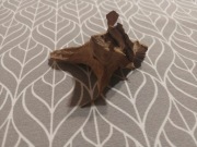 Korzeń do akwarium/terrarium