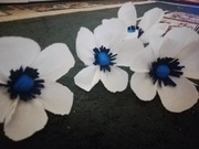 Kwiaty do dużej Palny 