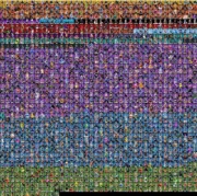 Konto fortnite do 1000 skinów