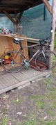 Rower szosowy Trek