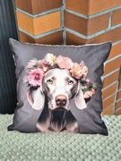 Poszewka, poduszka pies wyżeł weimarski 40x40  urodziny premium prezent 