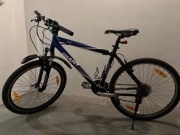 Rower Giant Rock 26"