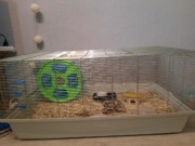 Klatka TANDEM używana 100cm