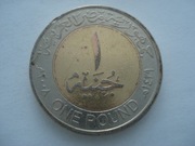 Egipt 1 funt 1429 (2008) 