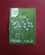 Fi. 4435 Piotr Kwit