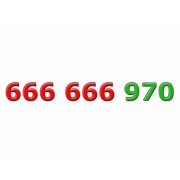 Złoty numer ____ 666 666 970 ____ Platynowy - ViP