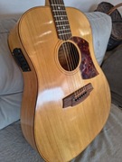 Gitara akustyczna Cole Clark FL2a