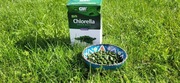 Chlorella Green Ways