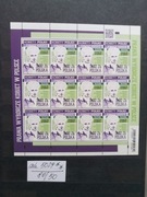 Fi ark.5029** Prawa Wyborcze kobiet w Polsce