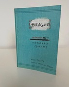 BAŁAGAN przewodnik po wypadkach i błędach