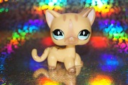 Littlest Pet Shop #886 shorthair LPS oryginalny pop oryginał Hasbro