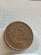 5 groszy 1949 Brąz ,mennicze 