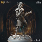 Mana Goblin Sorcerer | DM Stash Merchant | RPG 16K